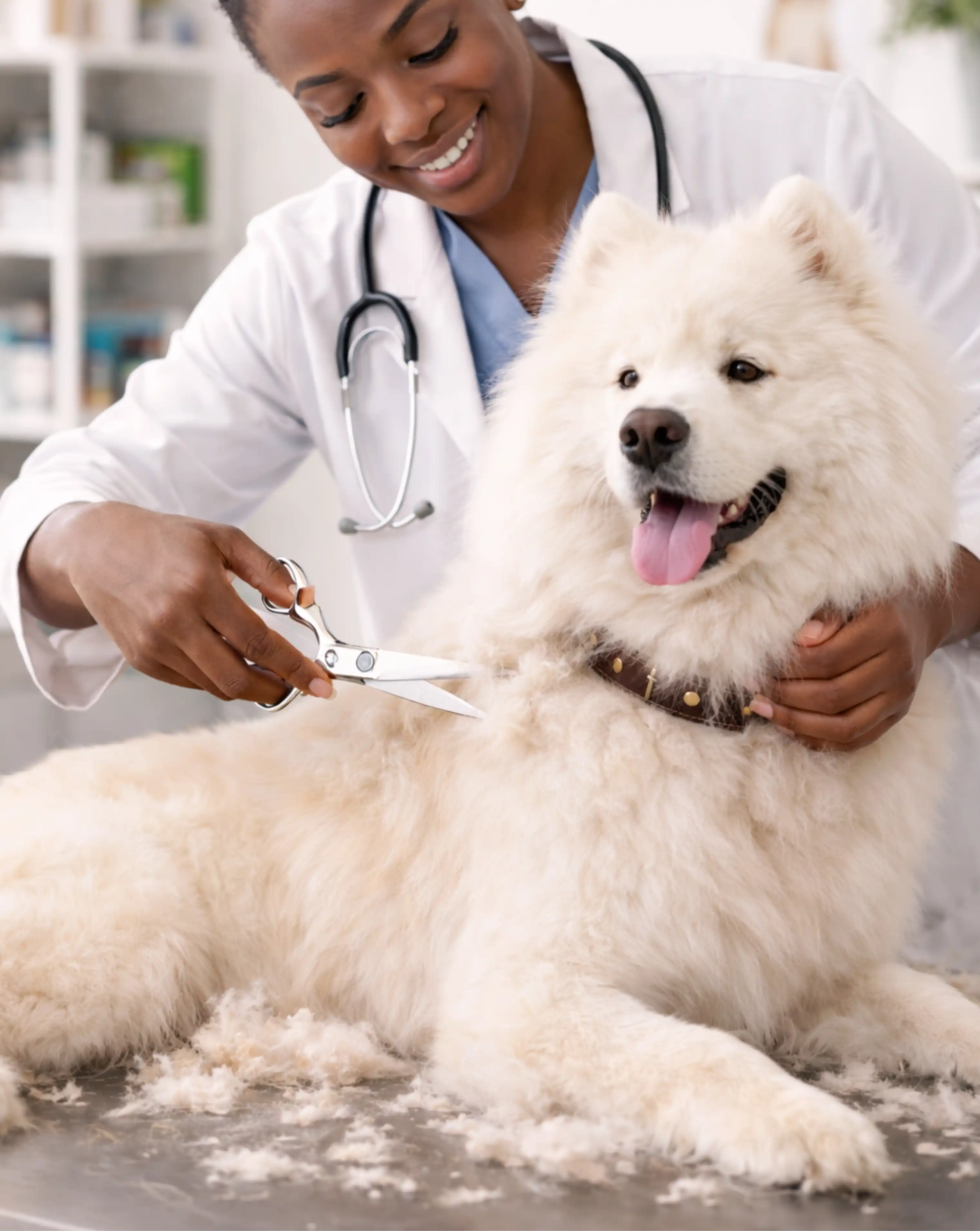 Professional mobile pet grooming service in Nairobi