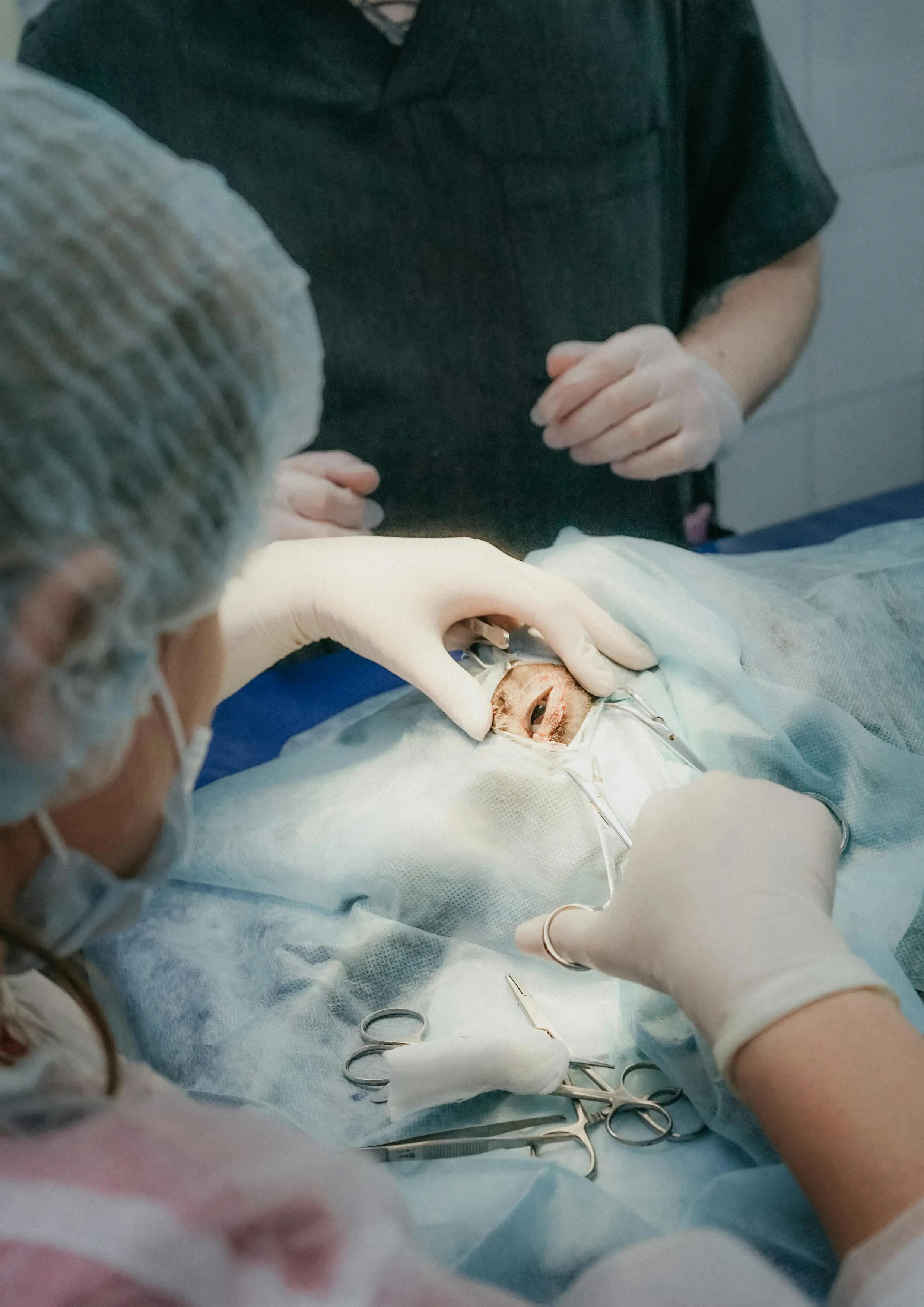 Sarah M with her dog