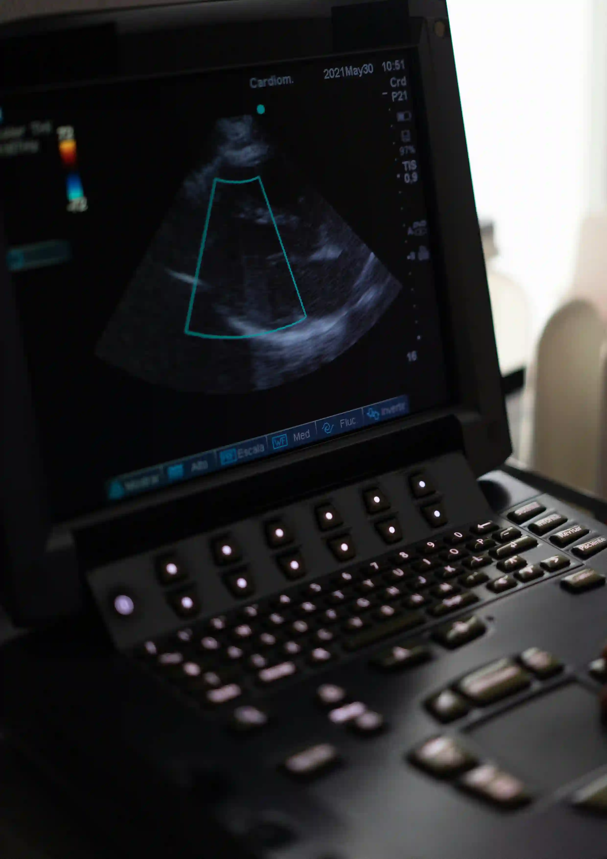 Veterinary ultrasound examination